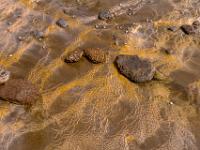 Geschwungene Muster an Steinen im "Strokkur" Abfluß - Westisland